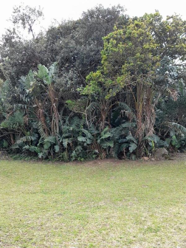 Apartament 19 Montego Bay Caribbean Estate Port Edward Zewnętrze zdjęcie